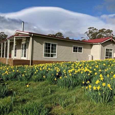 Mountain Blue Guest House Deloraine Bagian luar foto