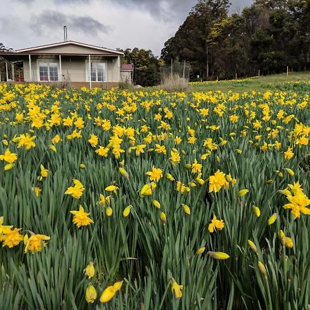 Mountain Blue Guest House Deloraine Bagian luar foto