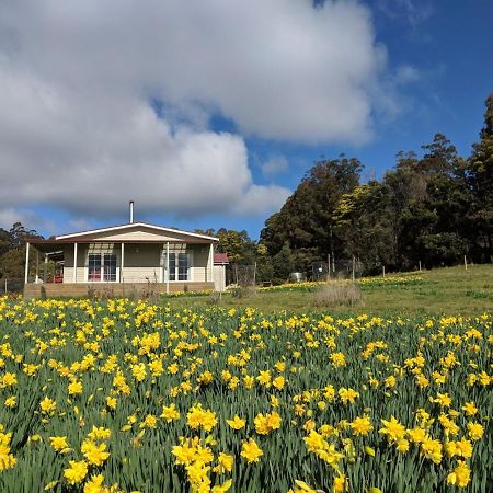 Mountain Blue Guest House Deloraine Bagian luar foto
