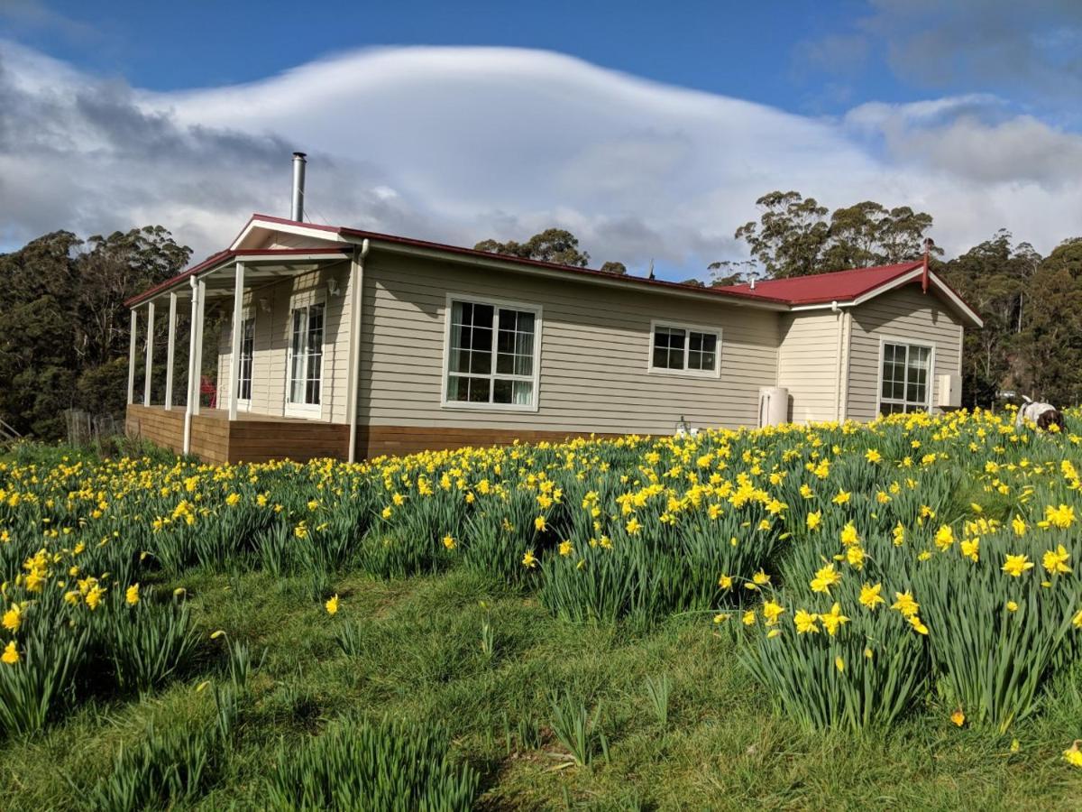 Mountain Blue Guest House Deloraine Bagian luar foto