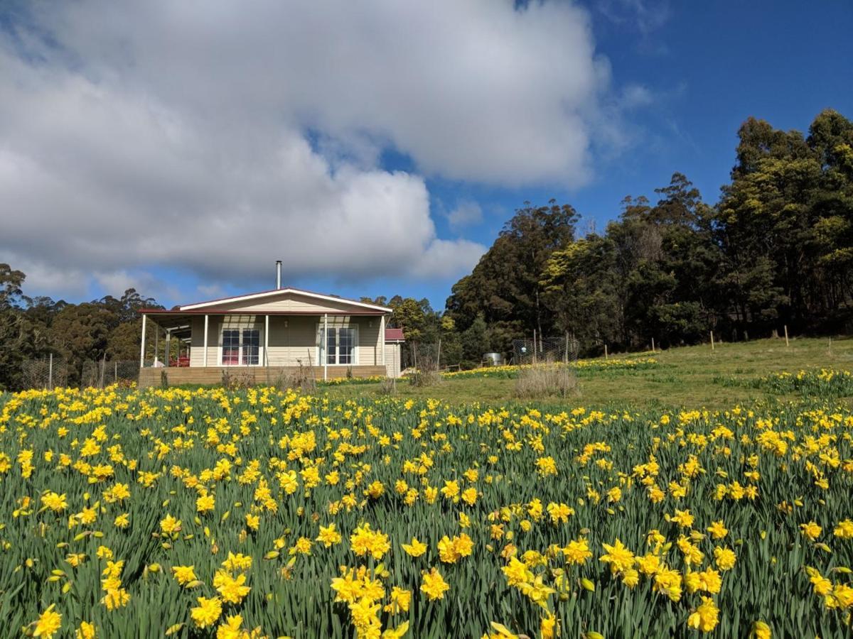 Mountain Blue Guest House Deloraine Bagian luar foto